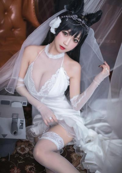 津门飞鹰40集免费观看
