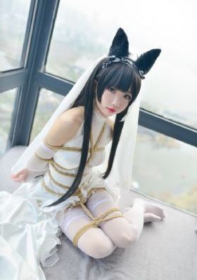 番茄看剧